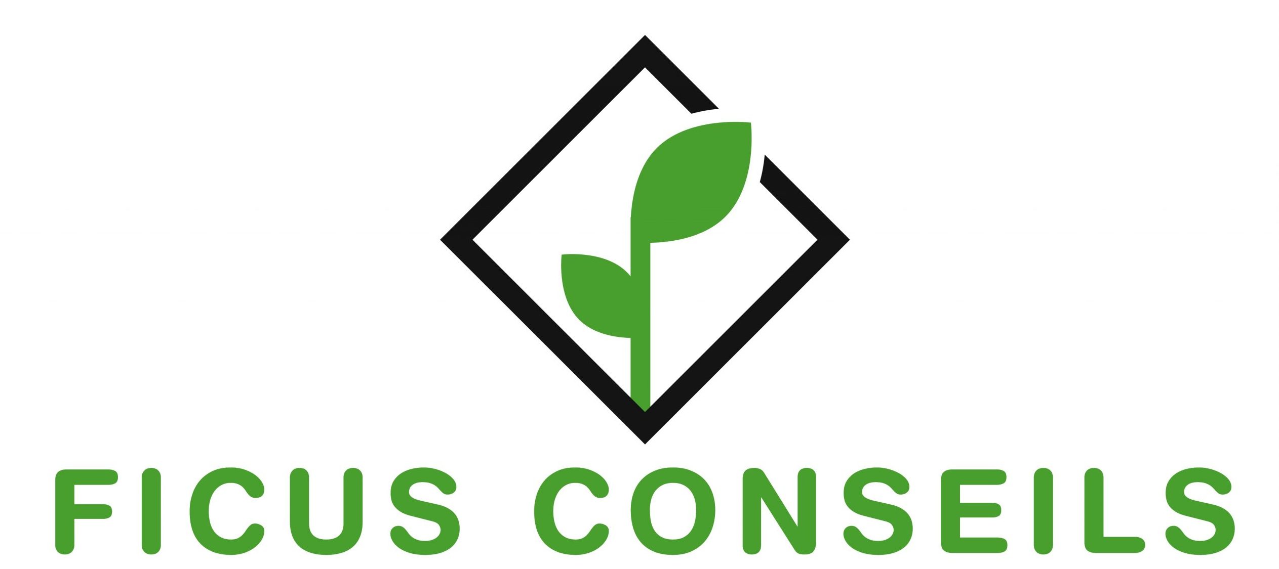 Ficus Conseils